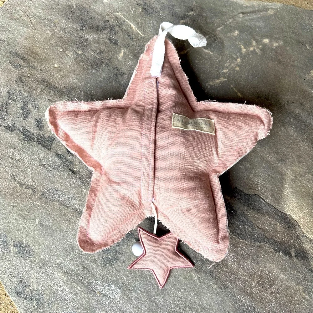 New🌟Musical Star Toy